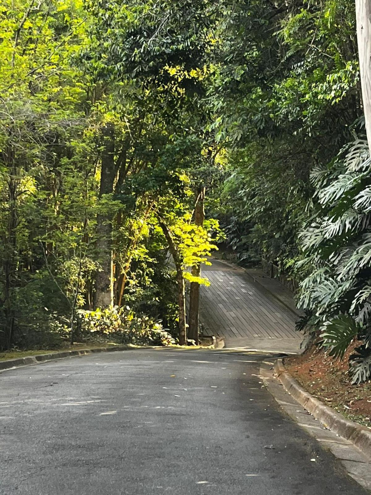 Maravilhoso Studio - Granja Brasil Itaipava Petrópolis エクステリア 写真